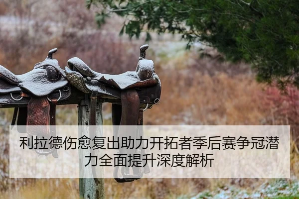 利拉德伤愈复出助力开拓者季后赛争冠潜力全面提升深度解析