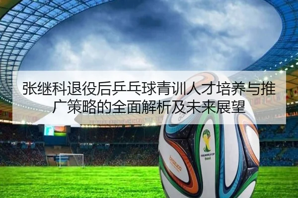 张继科退役后乒乓球青训人才培养与推广策略的全面解析及未来展望